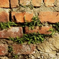 szerves és mű 2. (N,P,K)