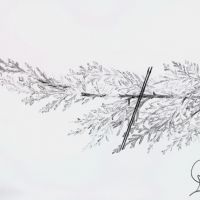 Metszések (a pikkelylevelűek)