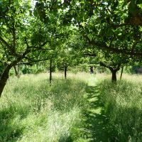 Gondolatok a felmelegedésről 2.
