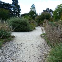 Gondolatok a felmelegedésről 3. A szárazkert-kavicskert