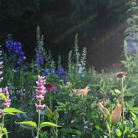 GEOTEXTIL A KERTBEN VS. TERMÉSZET