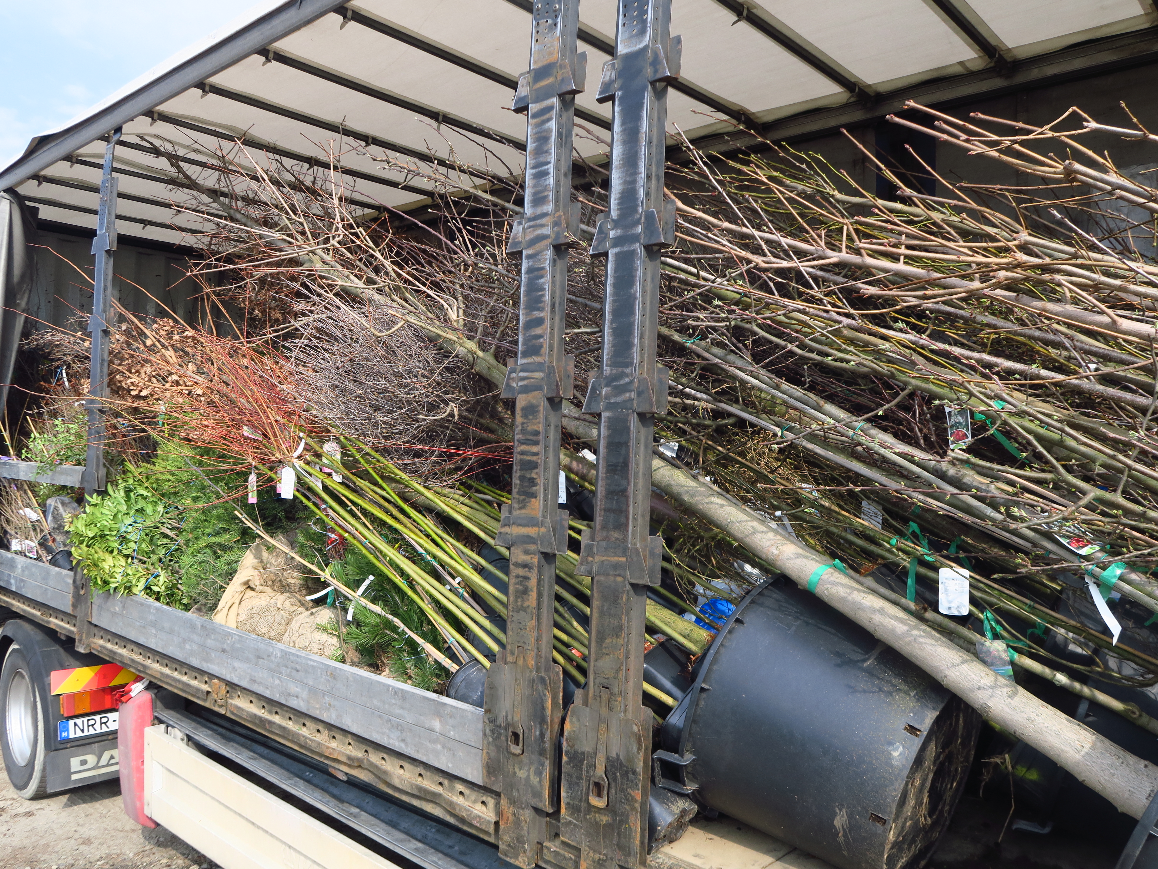 Az ország egyik legkomolyabb lombosfa válaszéka nálunk